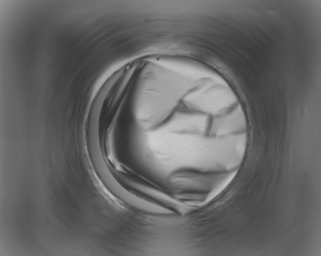X0000080791344200701122138