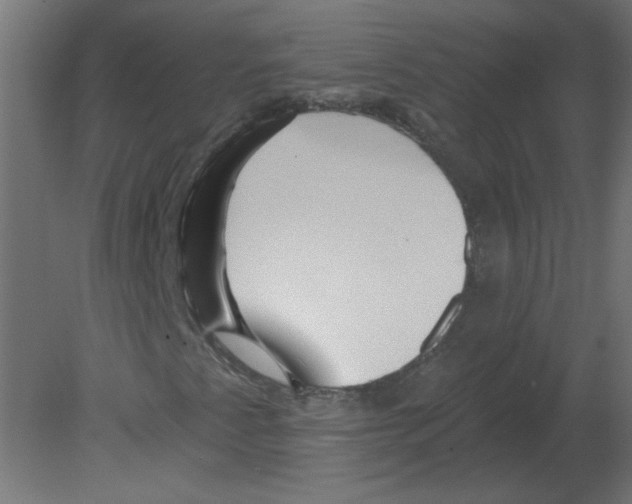 X0000080791345200701122137