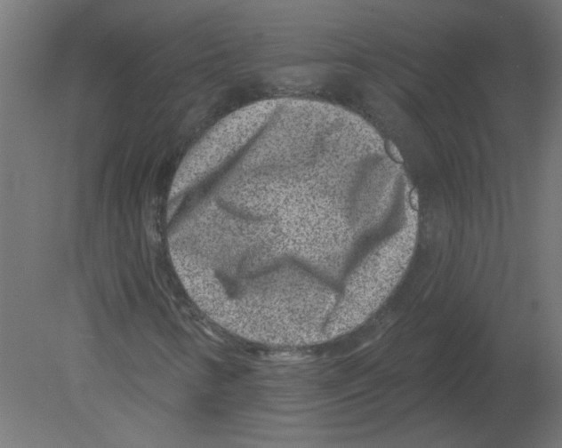 X0000080791346200701122137