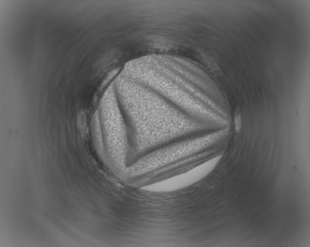 X0000080791347200701122137