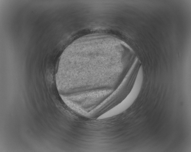 X0000080791348200701122137