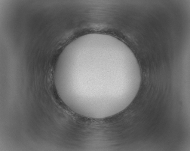 X0000080791349200701122137