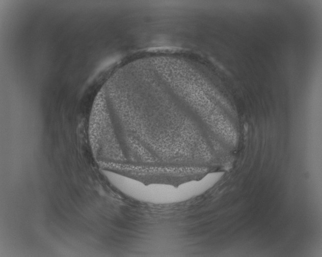 X0000080791351200701122137
