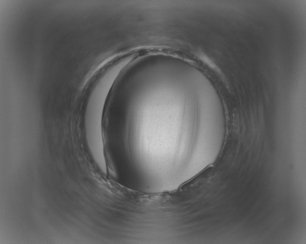 X0000080791352200701122137