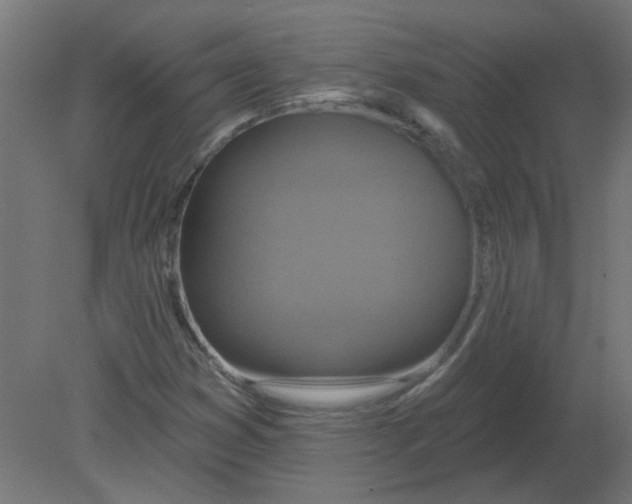 X0000080791353200701122137