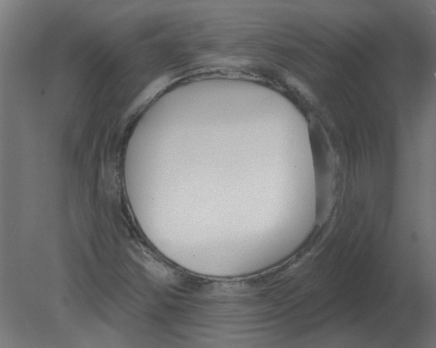 X0000080791354200701122137