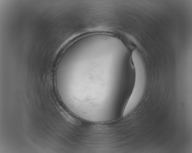 X0000080791356200701122137