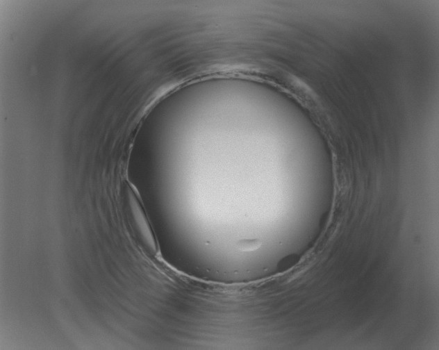 X0000080791361200701122137