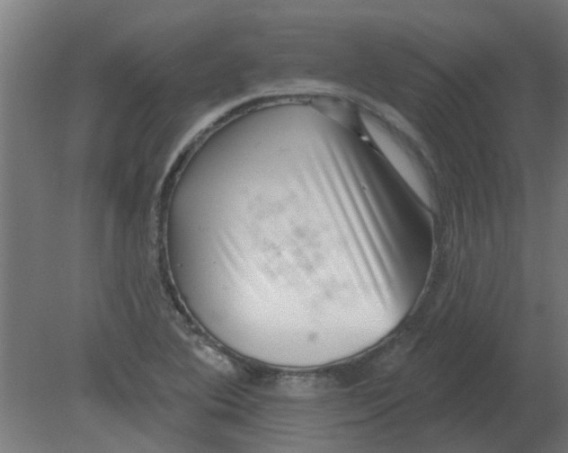 X0000080791364200701122137