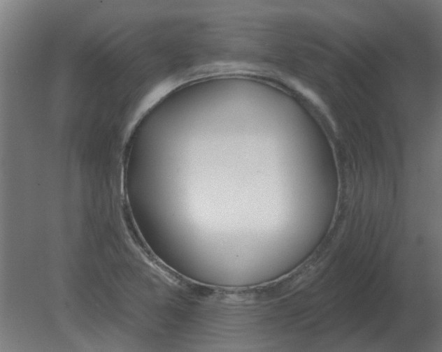 X0000080791365200701122137