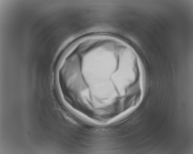 X0000080791366200701122137