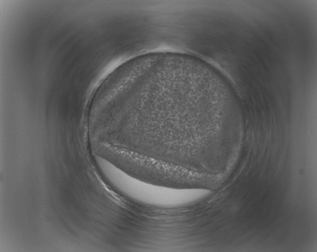 X0000080791367200701122137
