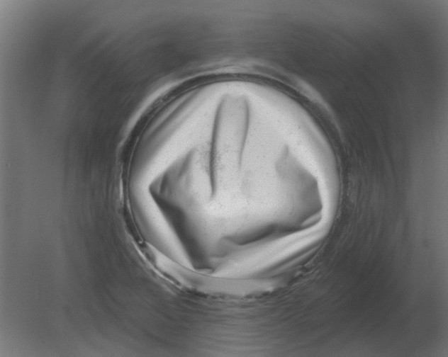 X0000080791368200701122137