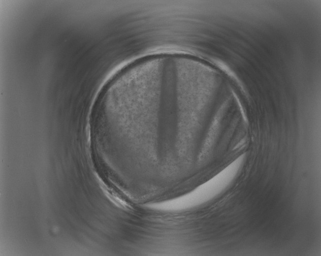 X0000080791372200701122136