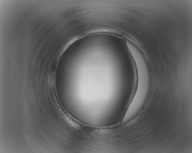 X0000080791377200701122136