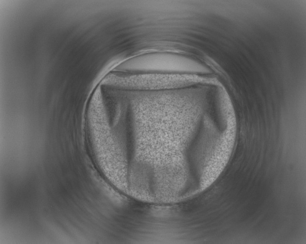 X0000080791378200701122136
