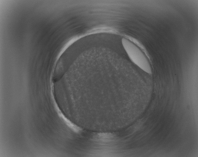 X0000080791383200701122136