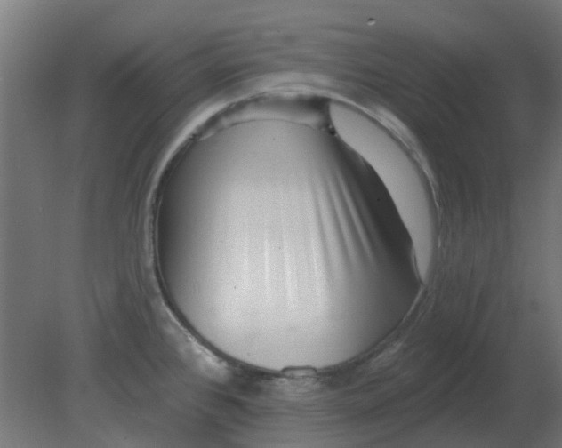 X0000080791384200701122136