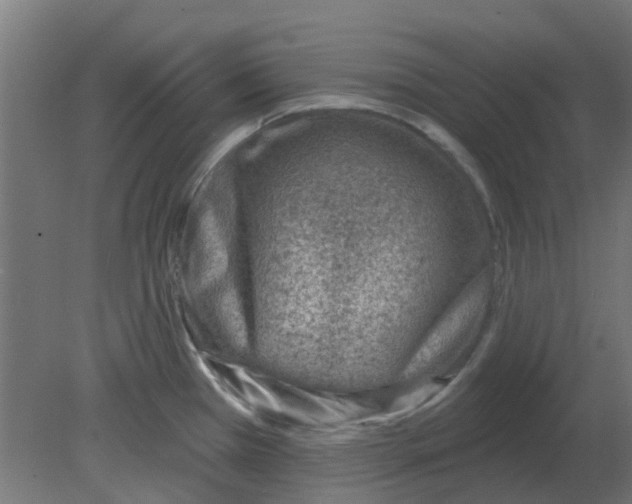 X0000080791385200701122136
