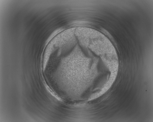 X0000080791386200701122136
