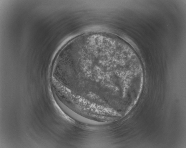 X0000080791392200701122136