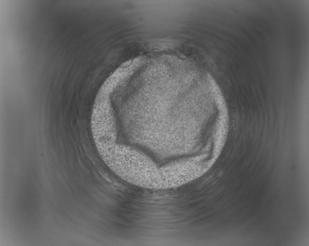 X0000080791393200701122135