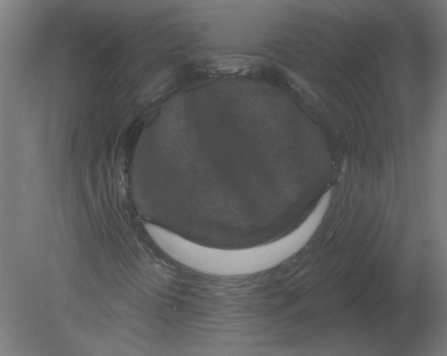 X0000080791394200701122135