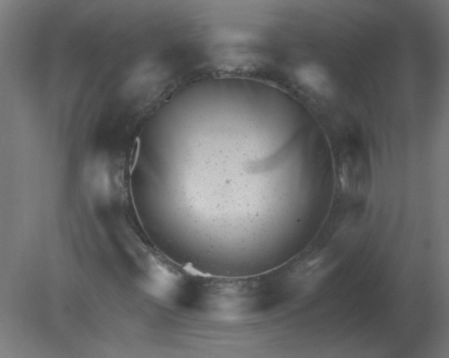 X0000080791396200701122135