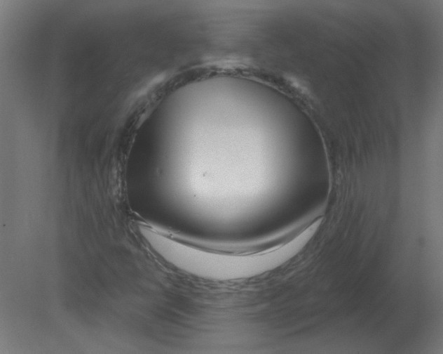 X0000080791398200701122135