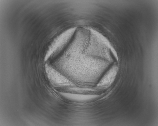 X0000080791401200701122135