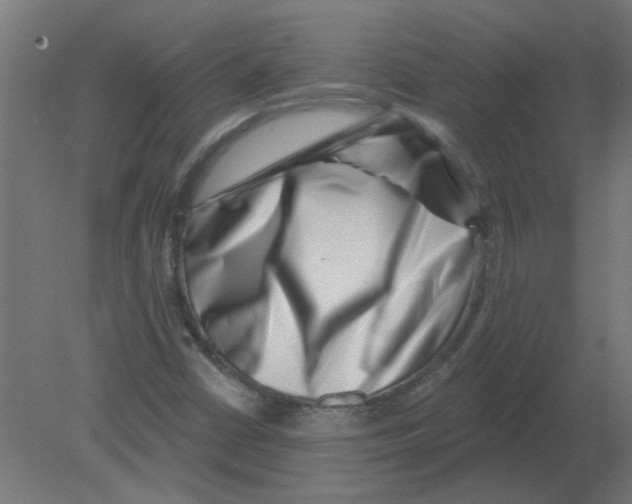 X0000080791402200701122135