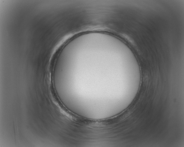 X0000080791414200701122136