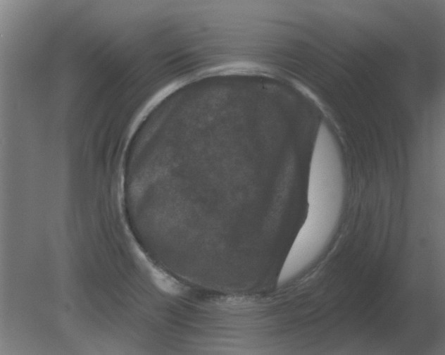 X0000080791418200701122136