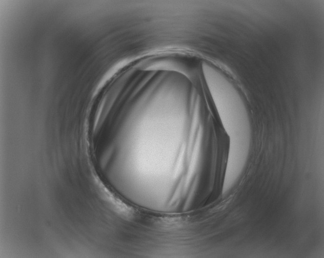 X0000080791422200701122136