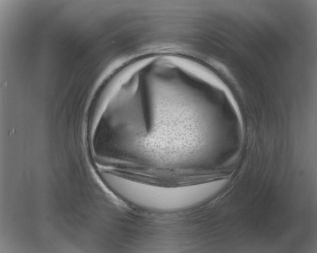 X0000080791424200701122136