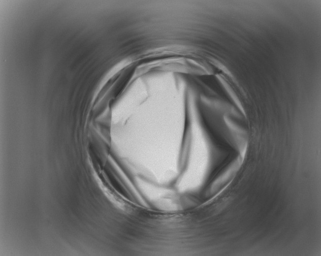 X0000080791426200701122136
