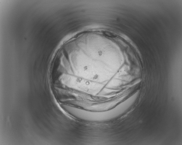 X0000080791429200701122136