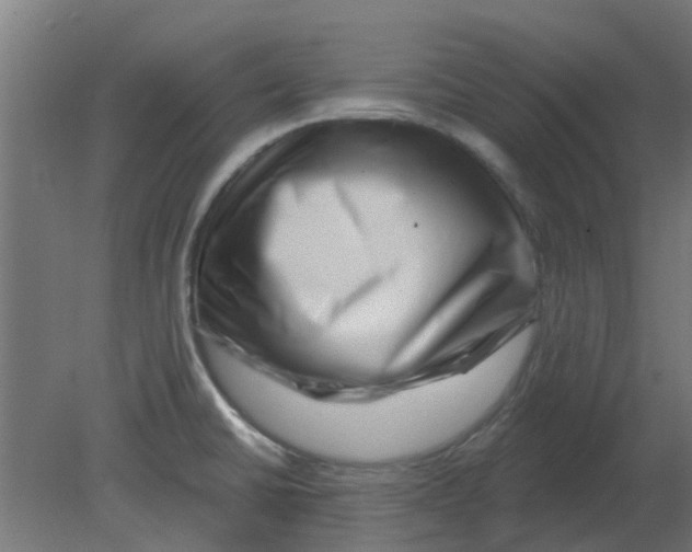 X0000080791430200701122136