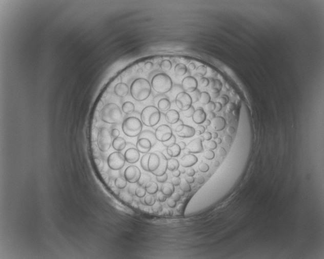 X0000080791432200701122136
