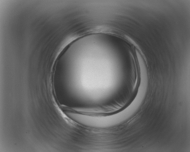 X0000080791434200701122136