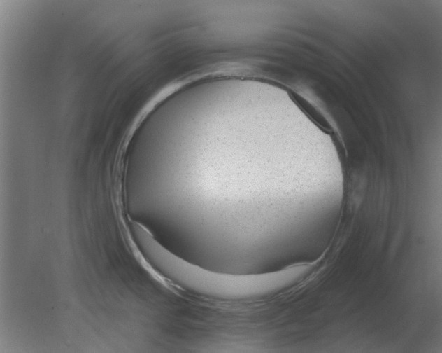 X0000080791437200701122136