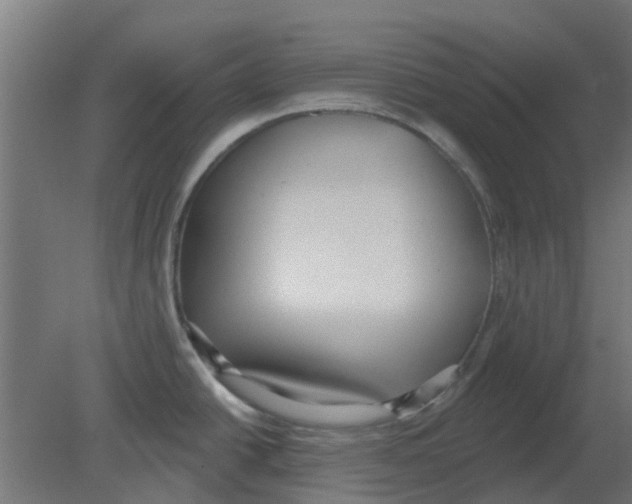 X0000080791438200701122136
