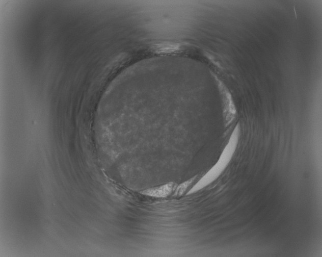 X0000080791441200701122135