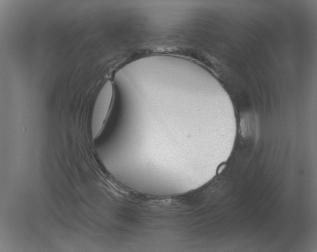 X0000080791444200701122135