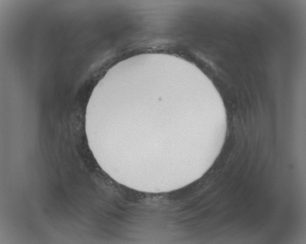 X0000080791447200701122135