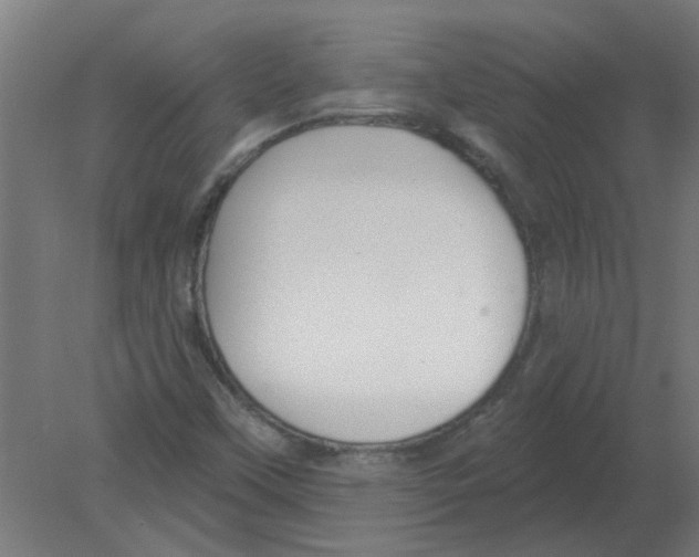 X0000080791451200701122135