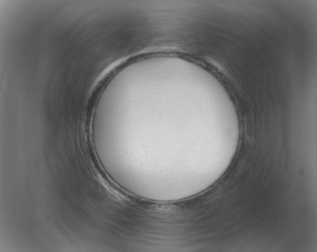 X0000080791452200701122135
