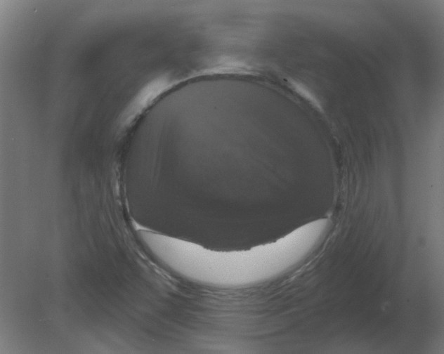 X0000080791455200701122135