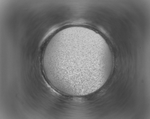 X0000080791456200701122135