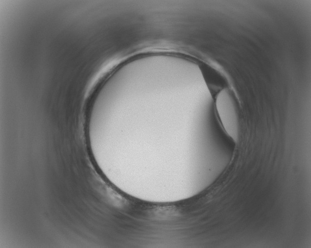 X0000080791464200701122135